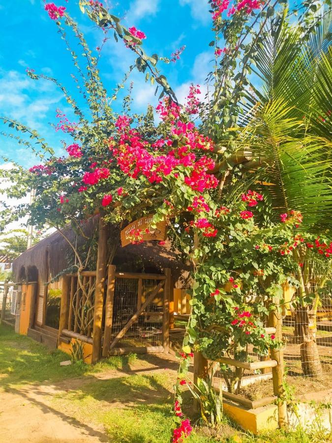 Pousada Dos Cardeais Barra Grande  Exterior photo